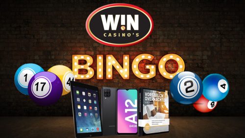 bingo_visual-nw