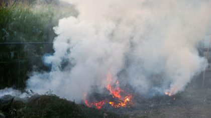 brandweer-dooft-stookvuur-Roermondseweg-1