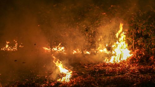 buitenbrandje-Graafschap-Hornelaan-Weert-3