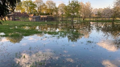 gesprongen-waterleiding-in-Nederweert-Eind2-1