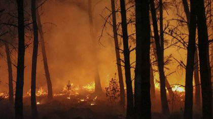 grote-bosbrand-Defensieweg-Baexem-4