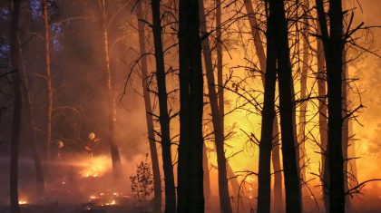 grote-bosbrand-Defensieweg-Baexem-7