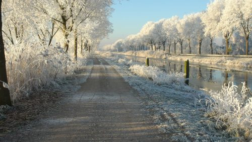 kerst-arlene-uitvaart