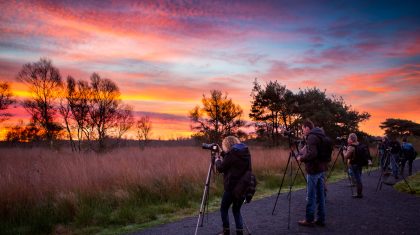 Workshop Natuurfotografie 18 oktober 2014