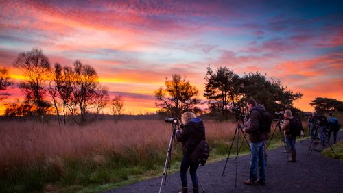 Workshop Natuurfotografie 18 oktober 2014