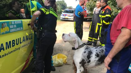 vrouw-in-kanaal-Wessem-Nederweert-bij-Grathem