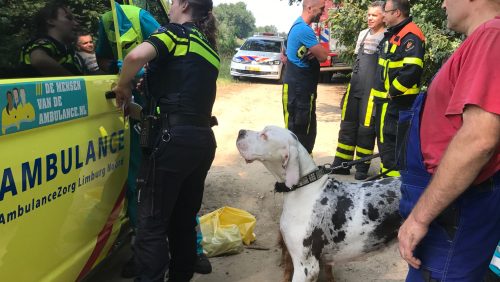 vrouw-in-kanaal-Wessem-Nederweert-bij-Grathem