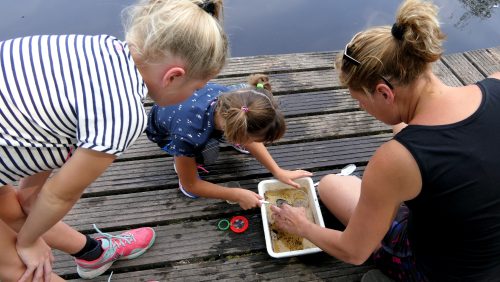 zomerse-activiteiten-de-pelen