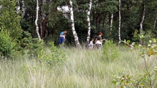 zomerzaligheden-in-de-Peel